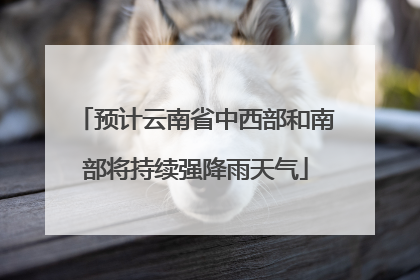 预计云南省中西部和南部将持续强降雨天气