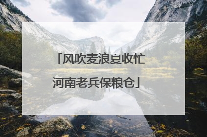 风吹麦浪夏收忙 河南老兵保粮仓