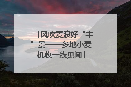 风吹麦浪好“丰”景——多地小麦机收一线见闻