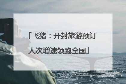 飞猪：开封旅游预订人次增速领跑全国