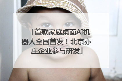 首款家庭桌面AI机器人全国首发！北京亦庄企业参与研发