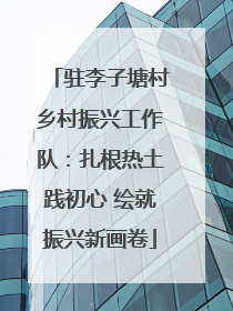驻李子塘村乡村振兴工作队：扎根热土践初心 绘就振兴新画卷