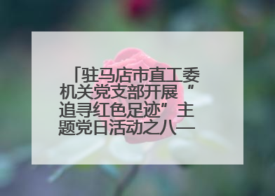 驻马店市直工委机关党支部开展“追寻红色足迹”主题党日活动之八——鏖战独树镇
