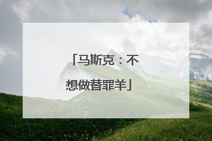 马斯克：不想做替罪羊