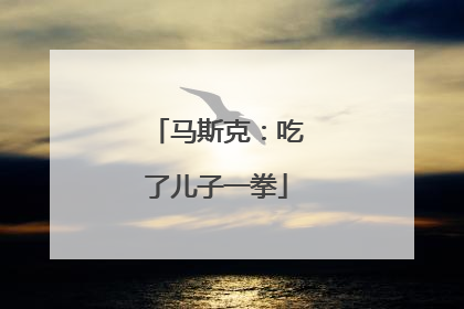 马斯克：吃了儿子一拳