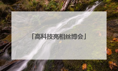 高科技亮相丝博会