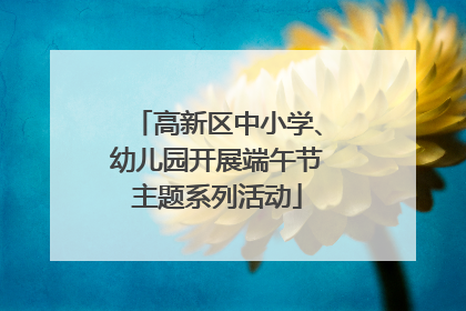 高新区中小学、幼儿园开展端午节主题系列活动
