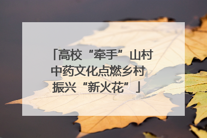 高校“牵手”山村 中药文化点燃乡村振兴“新火花”
