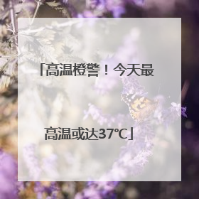 高温橙警！今天最高温或达37℃