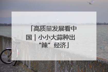 高质量发展看中国｜小小大蒜种出“辣”经济