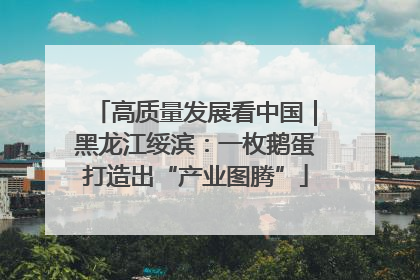 高质量发展看中国｜黑龙江绥滨：一枚鹅蛋打造出“产业图腾”
