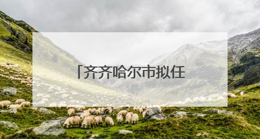 齐齐哈尔市拟任职干部公示名单