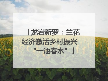 龙岩新罗：兰花经济激活乡村振兴“一池春水”