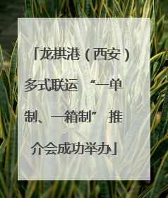 龙拱港（西安）多式联运 “一单制、一箱制” 推介会成功举办