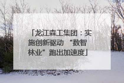龙江森工集团：实施创新驱动 “数智林业”跑出加速度