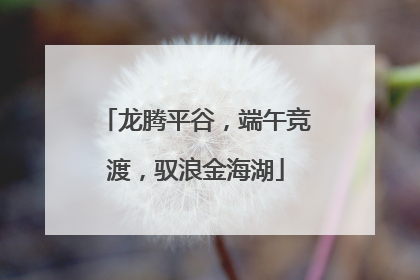 龙腾平谷，端午竞渡，驭浪金海湖