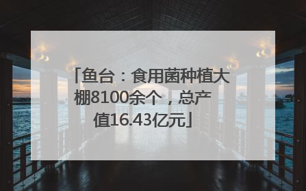 鱼台：食用菌种植大棚8100余个，总产值16.43亿元