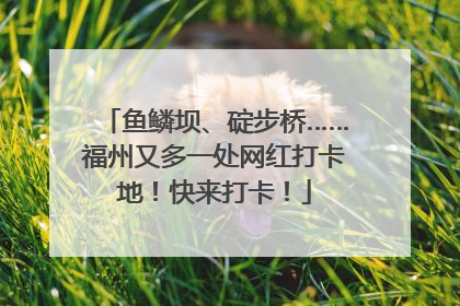 鱼鳞坝、碇步桥……福州又多一处网红打卡地！快来打卡！