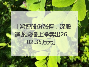 鸿博股份涨停，深股通龙虎榜上净卖出2602.35万元