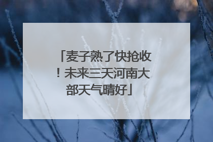 麦子熟了快抢收！未来三天河南大部天气晴好