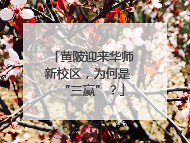 黄陂迎来华师新校区,为何是“三赢”?