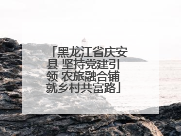 黑龙江省庆安县 坚持党建引领 农旅融合铺就乡村共富路