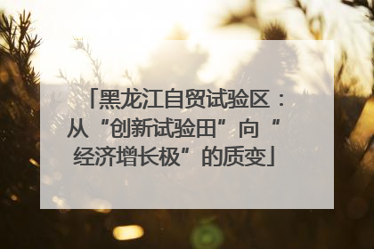 黑龙江自贸试验区：从“创新试验田”向“经济增长极”的质变