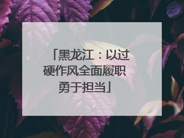 黑龙江：以过硬作风全面履职勇于担当