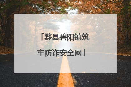 黟县碧阳镇筑牢防诈安全网