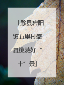 黟县碧阳镇五里村盛夏桃熟好“丰”景