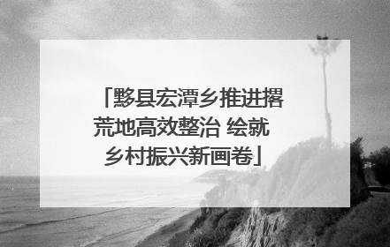 黟县宏潭乡推进撂荒地高效整治 绘就乡村振兴新画卷