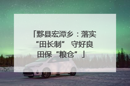黟县宏潭乡：落实“田长制” 守好良田保“粮仓”