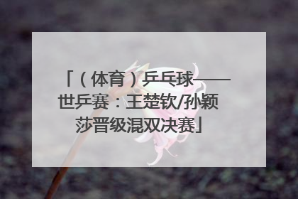 （体育）乒乓球——世乒赛：王楚钦/孙颖莎晋级混双决赛