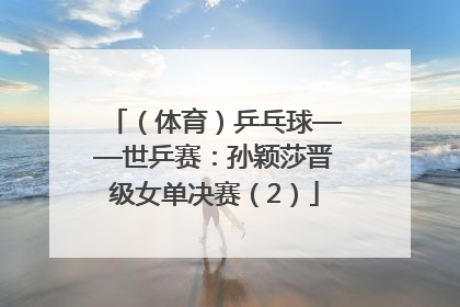 （体育）乒乓球——世乒赛：孙颖莎晋级女单决赛（2）