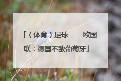 （体育）足球——欧国联：德国不敌葡萄牙