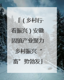 （乡村行·看振兴）安徽固镇产业聚力 乡村振兴“畜”势勃发