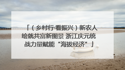 （乡村行·看振兴）新农人绘就共富新图景 浙江庆元统战力量赋能“海拔经济”
