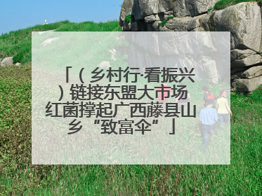 （乡村行·看振兴）链接东盟大市场 红菌撑起广西藤县山乡“致富伞”