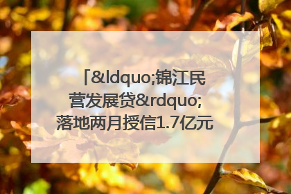 “锦江民营发展贷”落地两月授信1.7亿元，惠及118家民企