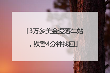 3万多美金遗落车站，铁警4分钟找回