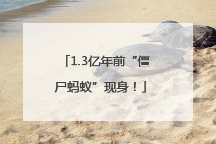 1.3亿年前“僵尸蚂蚁”现身！