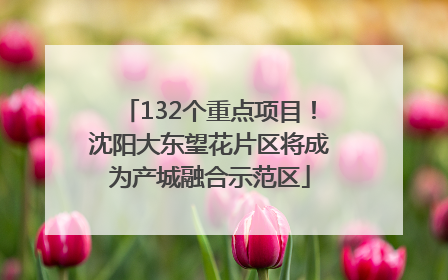 132个重点项目！沈阳大东望花片区将成为产城融合示范区