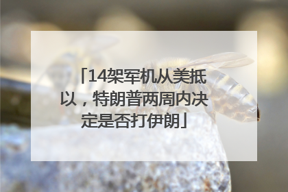 14架军机从美抵以，特朗普两周内决定是否打伊朗