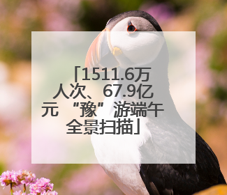 1511.6万人次、67.9亿元 “豫”游端午全景扫描
