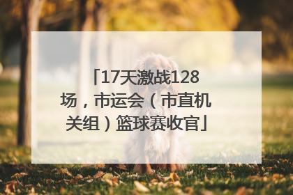 17天激战128场，市运会（市直机关组）篮球赛收官
