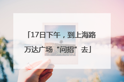 17日下午，到上海路万达广场“问招”去
