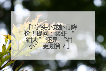 1字头小龙虾再降价！提问：买虾 “钳大” 还是 “钳小” 更划算？