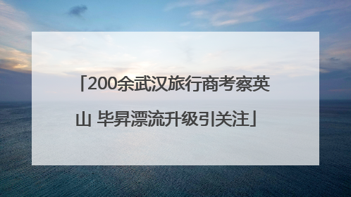 200余武汉旅行商考察英山 毕昇漂流升级引关注