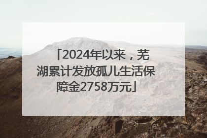 2024年以来，芜湖累计发放孤儿生活保障金2758万元