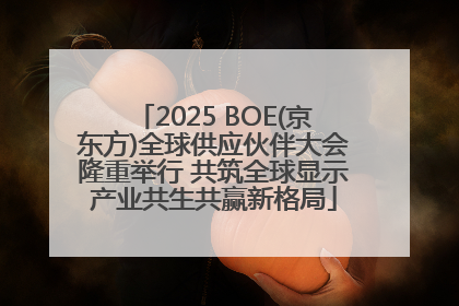 2025 BOE(京东方)全球供应伙伴大会隆重举行 共筑全球显示产业共生共赢新格局